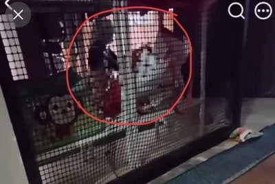 Tangkap layar video tular memaparkan mangsa dimarahi, ditarik rambut dan digoncang kepalanya oleh seorang wanita dipercayai pengasuh di taska terbabit.