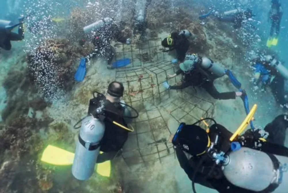 Aktiviti pemulihan terumbu karang Yayasan JCorp bersama Reef Check Malaysia di Pulau Aur sebagai usaha memperkukuh kelestarian biodiversiti marin.