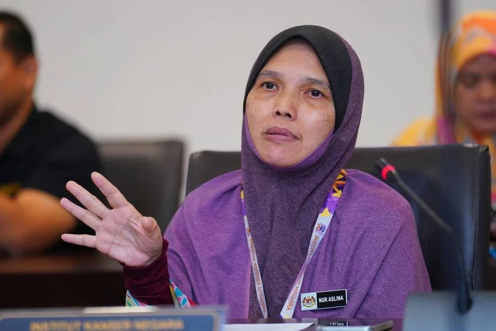 NUR ASLINA