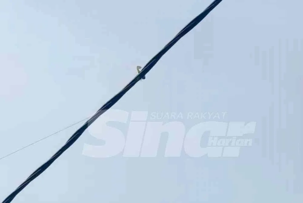 Seorang pelajar Tingkatan Dua maut selepas terkena renjatan ketika cuba mengambil mata kail yang tersangkut pada wayar elektrik menggunakan galah besi di Kampung Langgar, Kota Bharu pada Ahad. Foto:Tular
