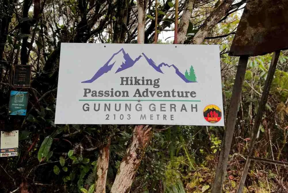 Enam pendaki termasuk dua kanak-kanak yang dilaporkan hilang ketika ekspedisi pendakian merentasi tiga puncak gunung di Banjaran Titiwangsa iaitu Gerah, Bilah, dan Bieh (Trans GBB) ditemukan selamat pada petang Isnin. Foto Bernama