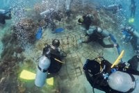 Aktiviti pemulihan terumbu karang Yayasan JCorp bersama Reef Check Malaysia di Pulau Aur sebagai usaha memperkukuh kelestarian biodiversiti marin.