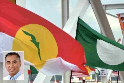 Muafakat UMNO-Pas hanya akan memberi kesan kepada PH untuk jangka masa pendek sebagaimana yang berlaku di PRN Johor dan Negeri Sembilan baru-baru ini. Gambar kecil: Rizal