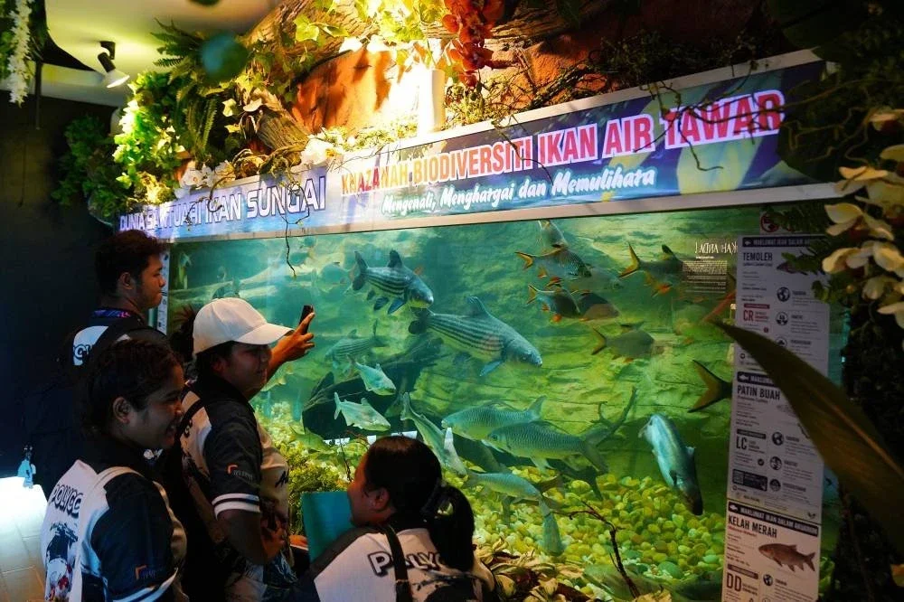 Pengunjung mula hadir seawal 10 pagi pada MAHA 2026 di Taman Ekspo Pertanian Malaysia Serdang (MAEPS) Serdang.