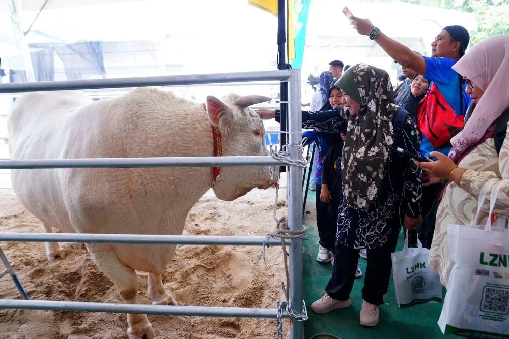 Lembu sado antara yang mendapat perhatian pengunjung di MAHA 2026 sepanjang 10 hari program.