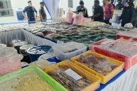 Antara dadah yang dirampas dalam serbuan dijalankan di makmal memproses dadah di Puncak Alam.