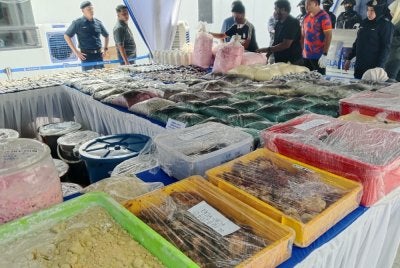 Antara dadah yang dirampas dalam serbuan dijalankan di makmal memproses dadah di Puncak Alam.