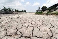 Malaysia kini mengambil pendekatan melaksanakan tindakan mitigasi dan adaptasi secara serentak bagi menghadapi risiko perubahan iklim yang semakin kompleks. Gambar hiasan 