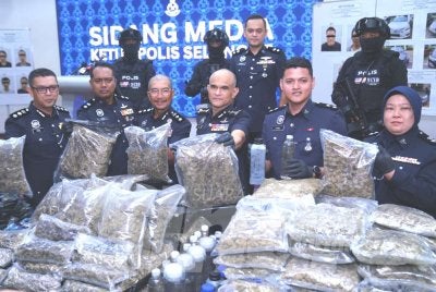 Shazeli (depan, empat dari kiri) menunjukkan antara rampasan bunga ganja oleh Polis Selangor. Foto Sinar Harian - MOHD HALIM ABDUL WAHID