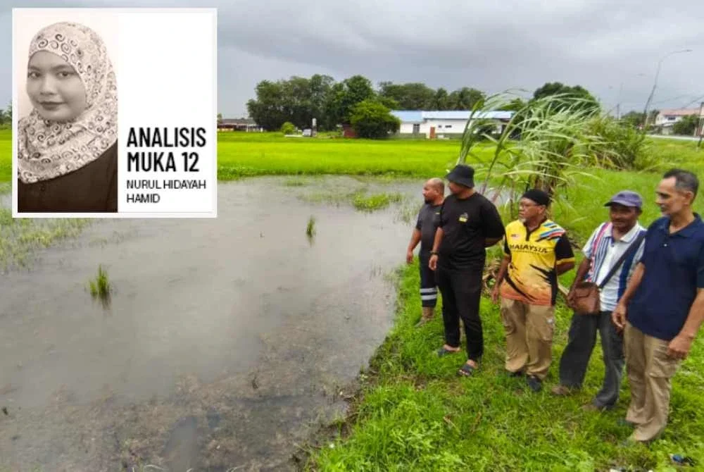 Pesawah melihat sawah padi yang masih menunggu baja tambahan di Alor Mengkudu, Alor Setar.