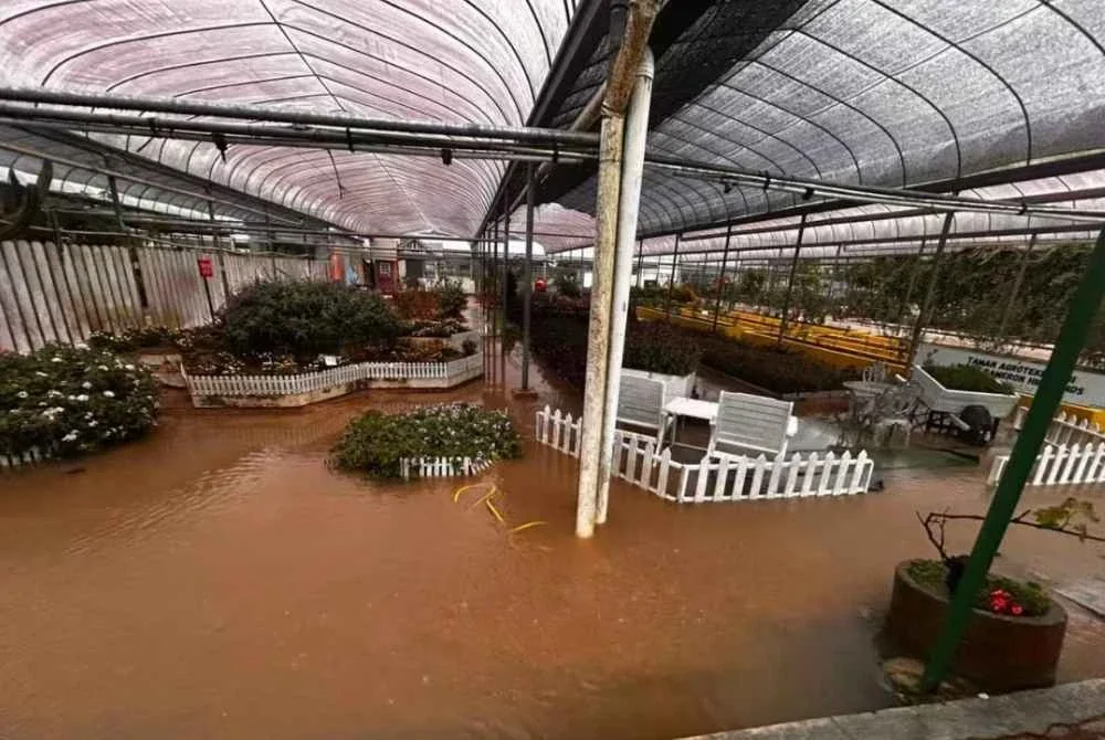 Kejadian banjir di Cameron Highlands pada Jumaat akibat hujan berterusan meresahkan penduduk.
