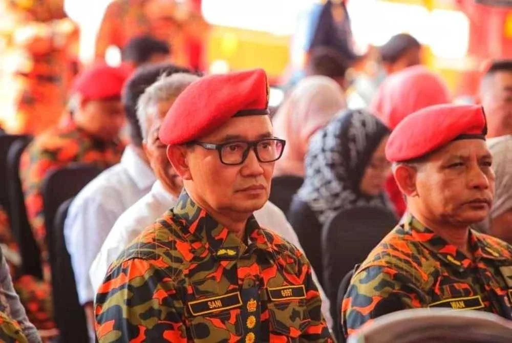 Mohd Sani