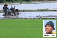 PeSAWAH gesa KPKM perketat pemantauan terhadap kilang padi berlesen susulan kadar pemotongan timbangan padi yang mencecah sehingga 35 peratus. Foto hiasan