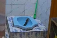 Seorang lelaki terkejut apabila mendapati seekor ular sawa sepanjang kira-kira tiga meter muncul dari mangkuk tandas di kediamannya, baru-baru ini.