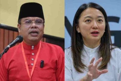 Syed Mohd Johan Rizal, Hannah Yeoh