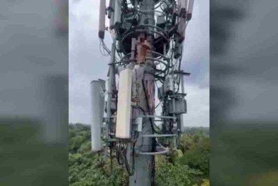Seorang pemuda berusia 20 tahun mencetuskan kekecohan apabila memanjat menara telekomunikasi setinggi 18 meter. Foto: TOI