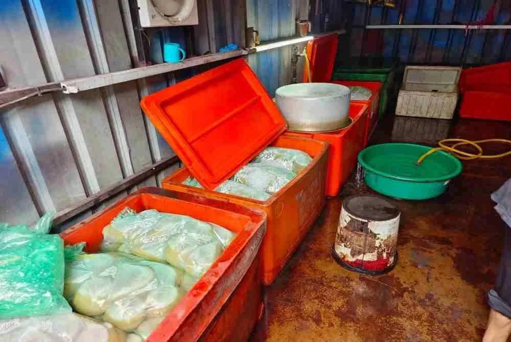 Bungkusan air dan daun ketum yang ditemui dalam rumah disyaki digunakan sebagai tempat memproses dan menjualnya. Foto Facebook Briged Tenggara PGA