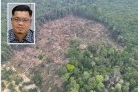 Antara kawasan Hutan Simpan Kekal Tasik Bera diteroka secara haram. Gambar kecil: Saifullah Muhammad Ali