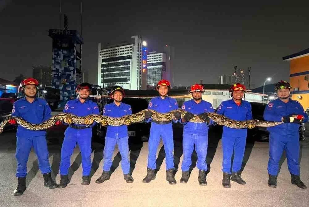 Empat anggota Angkatan Pertahanan Awam Malaysia (APM) Daerah Cheras digerakkan bagi menangani kejadian ular sawa 'gergasi' ditemui di Bangunan Hive 9, Mranti Park, Puchong Bukit Jalil.