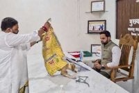 Seekor anjing dilepaskan di atas meja ketua pegawai sebagai simbolik membantah masalah anjing liar di daerah Nashik, Maharashtra. Foto: PTI