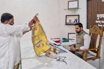 Seekor anjing dilepaskan di atas meja ketua pegawai sebagai simbolik membantah masalah anjing liar di daerah Nashik, Maharashtra. Foto: PTI