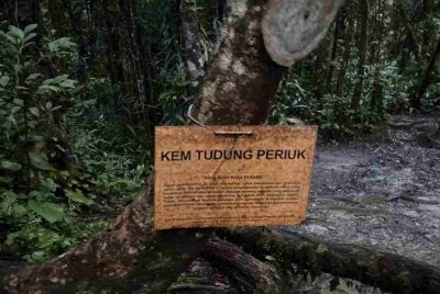 JBPM Kelantan malam ini menggerakkan operasi SAR seorang pendaki lelaki yang terpisah daripada kumpulannya di hutan berhampiran Kem Tudung Periuk, Gua Musang.