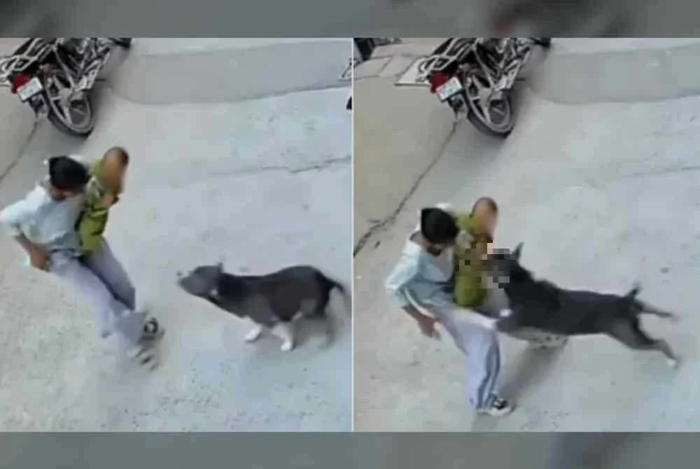 Rakaman CCTV menunjukkan kejadian menggemparkan itu. - Foto Agensi