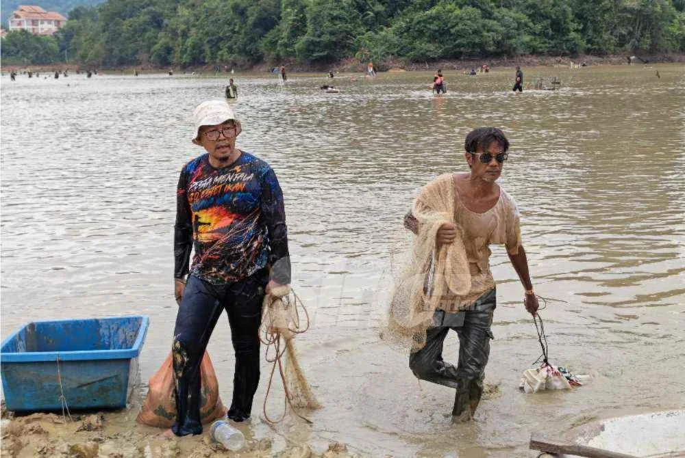 Peserta redah air sungai demi memburu pelbagai spesies ikan sungai seperti patin dan tengalan dalam acara menjala. Foto Sinar Harian