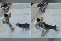 Rakaman CCTV menunjukkan kejadian menggemparkan itu. - Foto Agensi