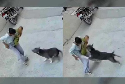 Rakaman CCTV menunjukkan kejadian menggemparkan itu. - Foto Agensi