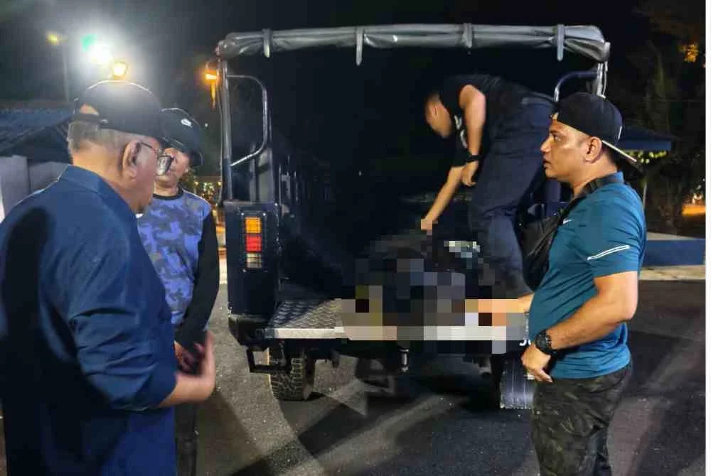 Mohd Zolkafly (kiri) melihat jenazah Allahyarham Zamberi dibawa ke dalam trak polis selepas ditemui maut diserang harimau.