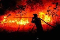 Keluasan wilayah dan keadaan tanah gambut yang mencabar menjadi antara faktor yang menyukarkan usaha memadam kebakaran hutan.