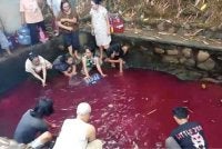 Penduduk tidak melepaskan peluang mengambil air di kolam yang tiba-tiba bertukar merah di Gunung Sindur, Bogor, Indonesia. Foto Agensi