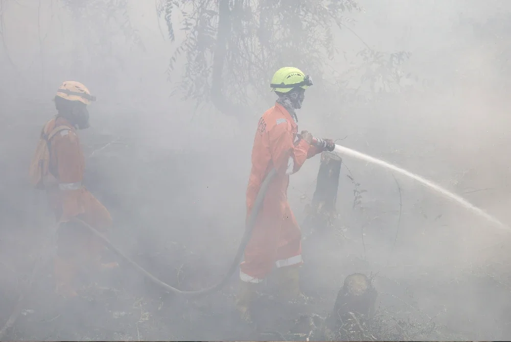 Anggota bomba tiba untuk memadam kebakaran hutan dan tanah di Banjar, Kalimantan Selatan. Foto: AFP, Agensi