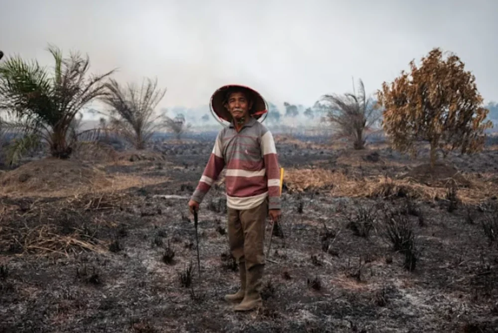 Salahuddin, 60, berdiri di kawasan ladangnya seluas empat hektar di Ogan Ilir, Sumatera Selatan yang musnah akibat kebakaran hutan. Foto: AFP, Agensi