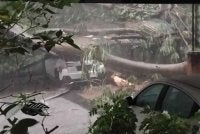 Kejadian ribut menyebabkan pokok besar dari kawasan berhampiran tumbang dan menghempap kira-kira tiga hingga empat kenderaan di Blok B Armanee Condominium di sini.