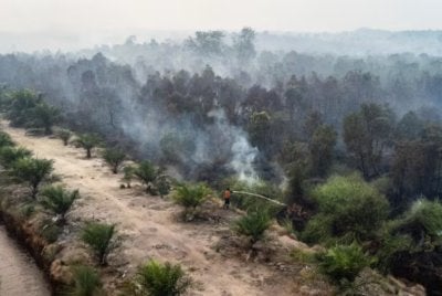 Anggota bomba memadam kebakaran hutan berhampiran ladang kelapa sawit di Ogan Ilir, Sumatera Selatan. Foto: AFP, Agensi