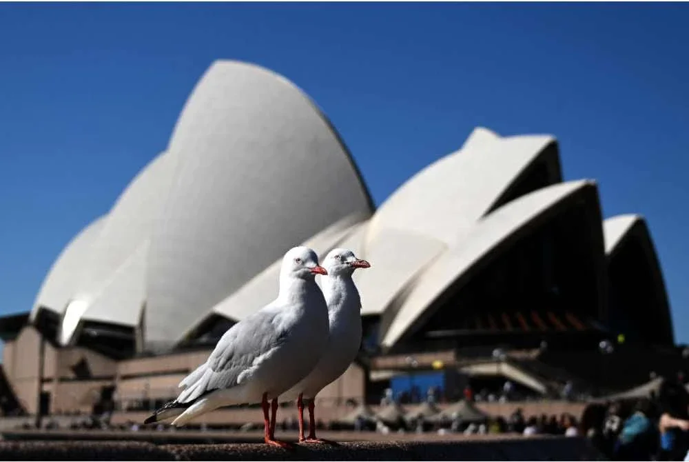 Australia - Foto AFP