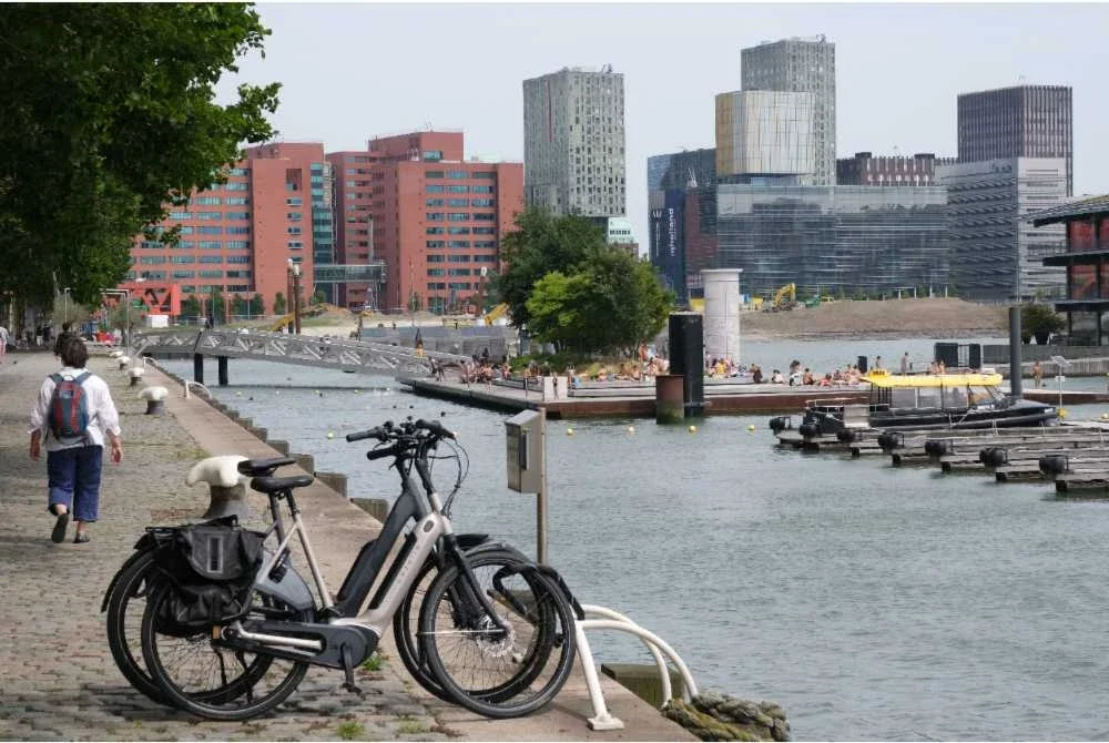Belanda - Foto AFP