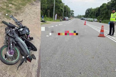 Seorang penunggang maut digilis kenderaan lain selepas dipercayai terjatuh dari motosikal akibat terlanggar lembu 
