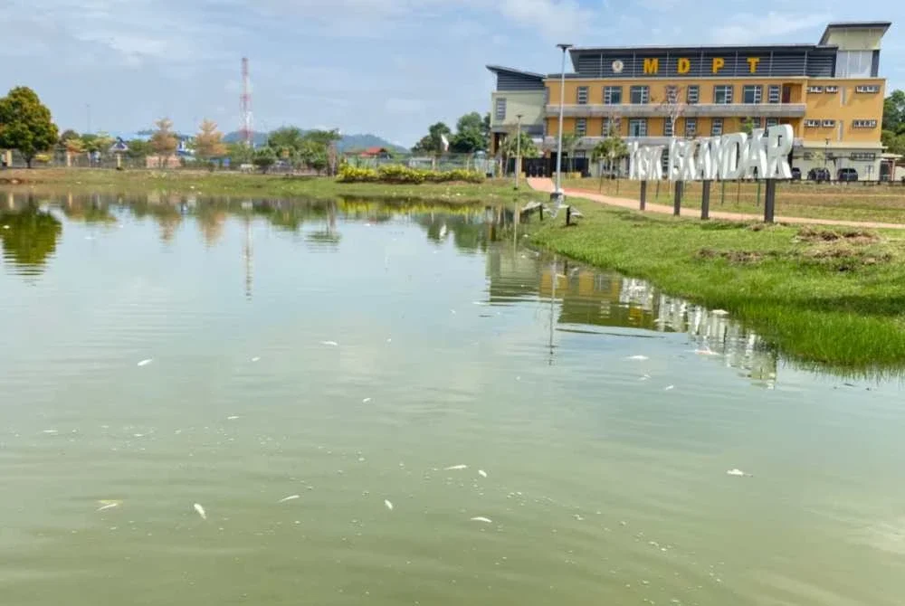 Laporan berhubung penemuan ikan mati di tasik tersebut diterima daripada Majlis Daerah Perak Tengah. Foto: Polis Perak
