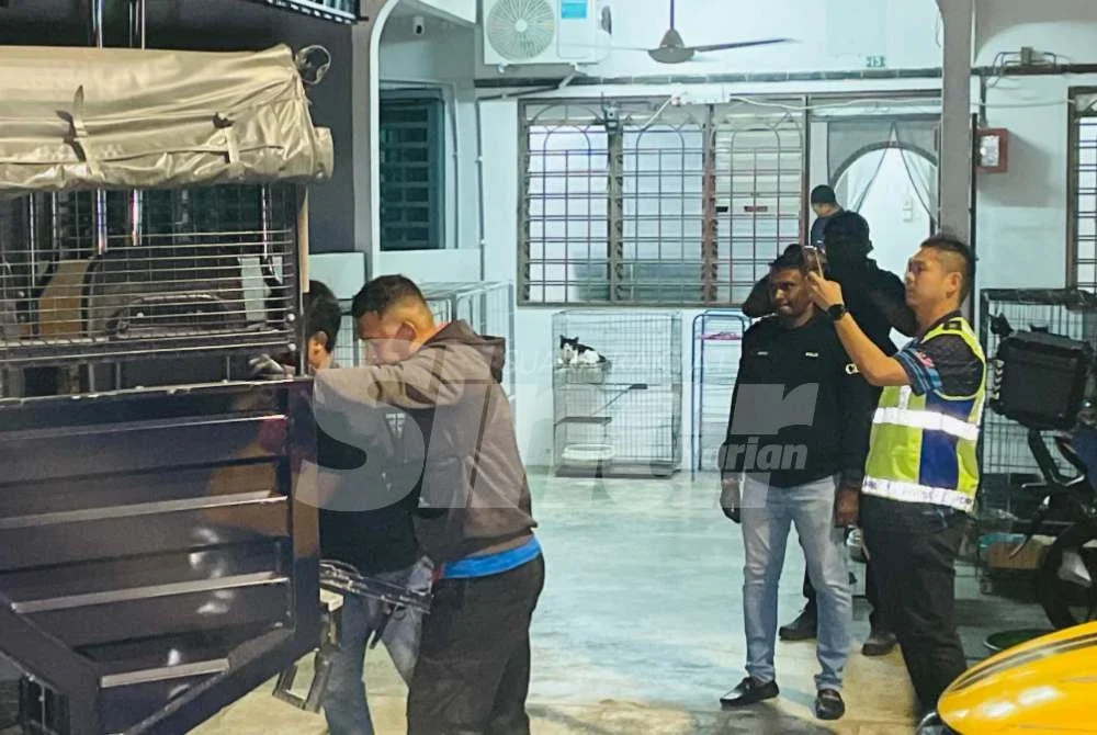 Laporan kes itu diterima daripada menantu mangsa sebelum tangkapan terhadap suspek berusia 49 tahun dibuat tidak lama selepas kejadian.