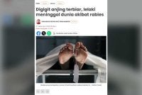 Seorang lelaki di Kubang Pasu meninggal dunia akibat rabies pada Ahad.