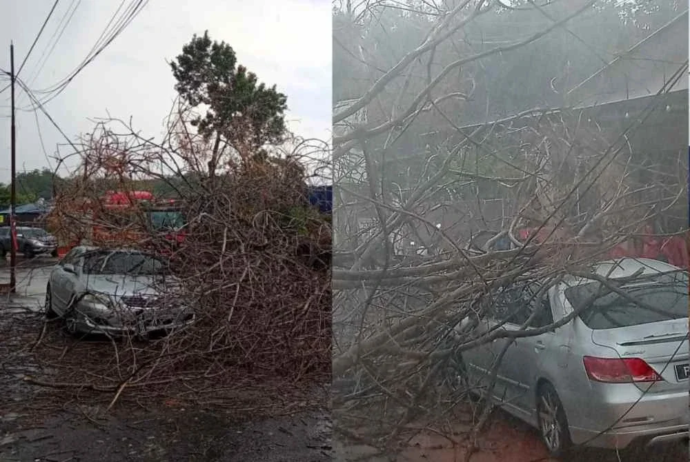 Sebuah Toyota Camry dihempap pokok tumbang dalam kejadian di Jalan ABIM, Kampung Sungai Ramal Dalam, Bangi pada Rabu