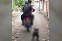 Video tular menunjukkan dua lelaki menaiki sebuah motosikal sambil menarik anjing berwarna hitam.