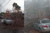 Sebuah Toyota Camry dihempap pokok tumbang dalam kejadian di Jalan ABIM, Kampung Sungai Ramal Dalam, Bangi pada Rabu