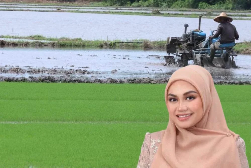 Nurul Syazwani turut mencadangkan insentif khas diberikan kepada pemilik tanah yang mengekalkan tanah mereka sebagai kawasan pengeluaran makanan.