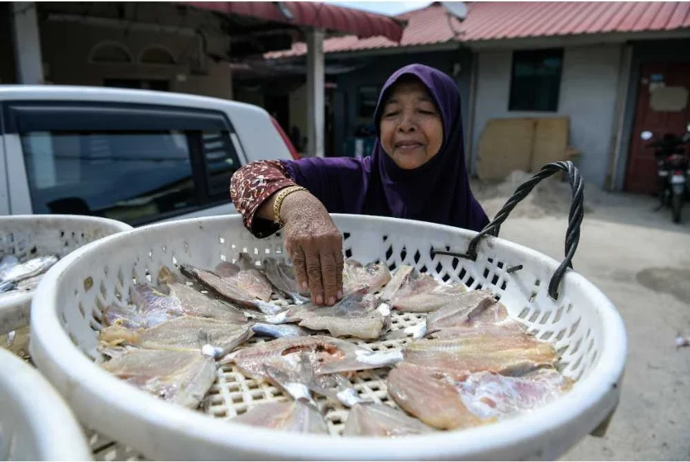 Seorang penduduk Bukit Malut menyusun pelbagai jenis ikan untuk dikeringkan sebelum dijual di sekitar kawasan Langkawi. Foto Bernama