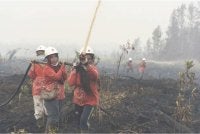 Kumpulan digelar 'Mamas' itu kini beroperasi di kira-kira 12 kampung di daerah Ketapang, kawasan luar bandar Kalimantan. Foto AFP