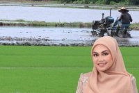 Nurul Syazwani turut mencadangkan insentif khas diberikan kepada pemilik tanah yang mengekalkan tanah mereka sebagai kawasan pengeluaran makanan.